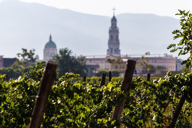 Vigna Taste: Discover the Ancient Wine Culture From Pompeii - Wine Tasting Experience in Pompeii