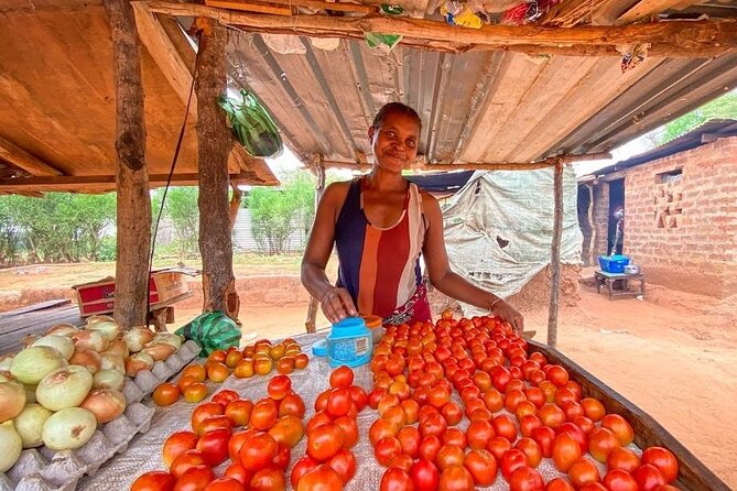 Village Tour Through Livingstone