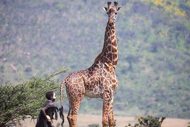 Visit the Masai Market - What to Expect During Visit