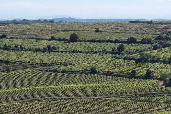Visit to Vineyards and Tastings Departing From Béziers - Driver/Guide and Vehicle Details