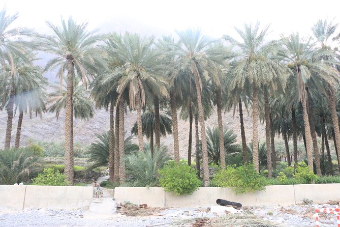 Wadi Bani Kharous Geological