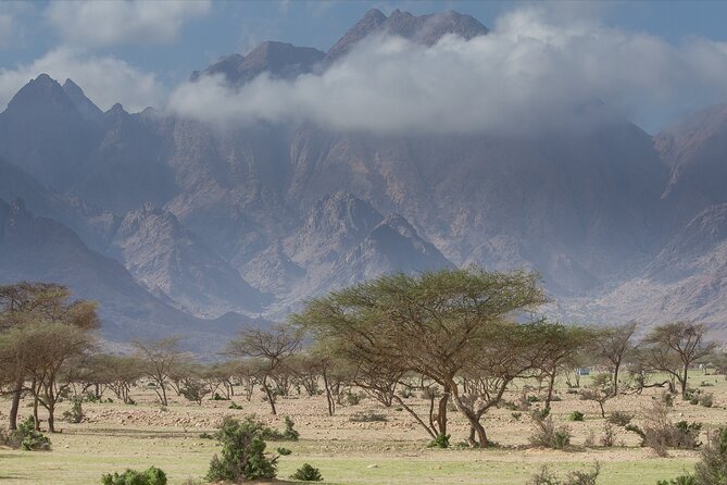 Wadi El Gamal Amazing Day Jeep Safari Full Day With Bedouin Dinner - Marsa Alam - Logistics