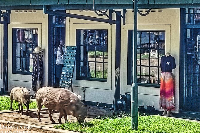 Walking Safari of Victoria Falls Town - Meeting Point Details