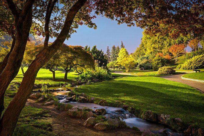Walking Tour of Valentino Park – The Monumental Trees