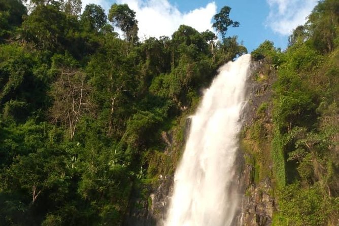 Waterfalls, Coffee, Hotsprings, Food Cuisine, & Serval Wildlife - Activities: Swim, Hike, Visit