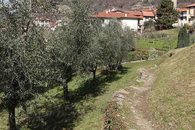 Wayfarers Trail: Hike on Lake Como With Lunch - Whats Included