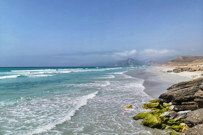 West Salalah, Al Mughsail Beach, White Beach, Frankincense Tree (Half Day Tour) - Tour Highlights