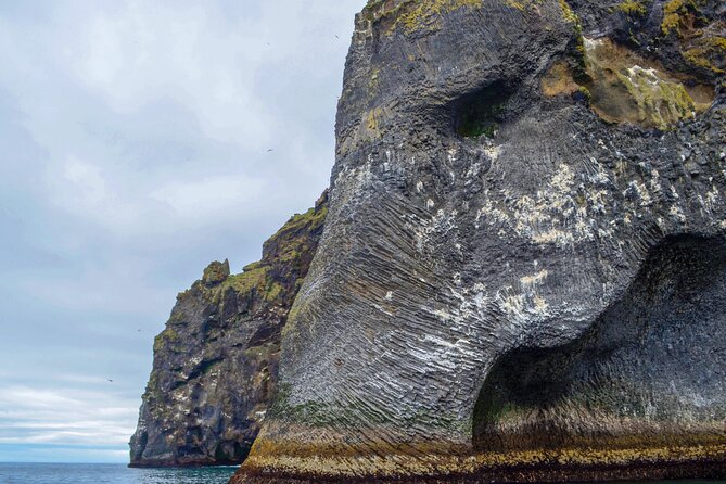 Westman Islands, Volcanoes and Puffins Small Group Tour