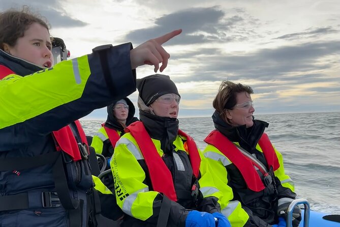 Whale Watching – RIB Boat Adventure in Kopavogur, Iceland
