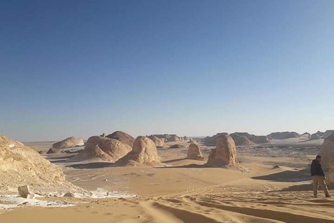 White Desert and Bahariya Oasis Tour From Cairo - Inclusions and Exclusions