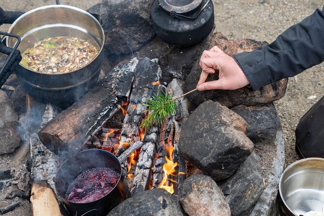 Wild Food & Foraging Hike With Open Fire Lunch - Event Overview