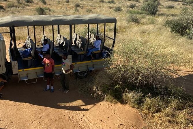 Windhoek Carnivore Experience Feeding Half Day Tour - Pricing and Inclusions