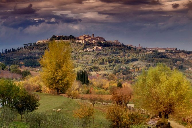 Wine Cheese and EVO Oil Tastings Full-Day Tour From Florence - Meeting and Pickup Details