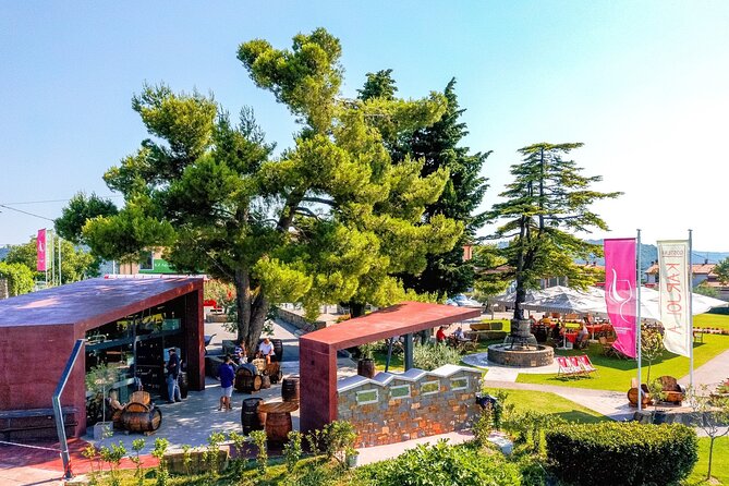 Wine Fountain Tasting Day Tour From Portoroz - Highlights of the Tour