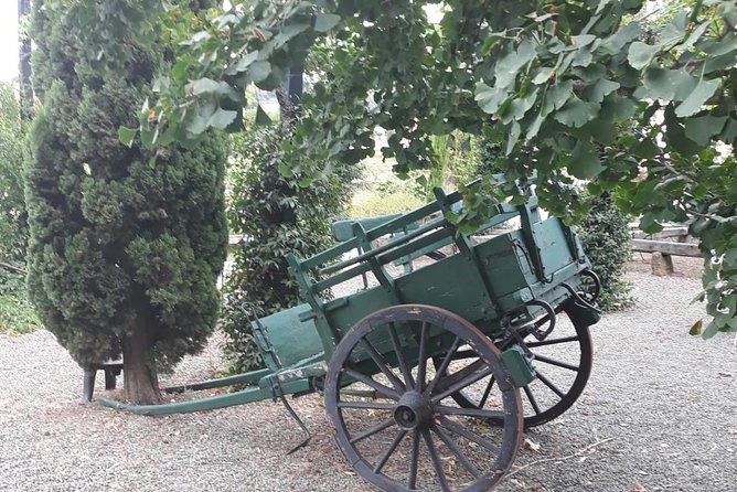 Wine Oliveoil Tasting Light Lunch From Rome Private Tour - Tour Overview