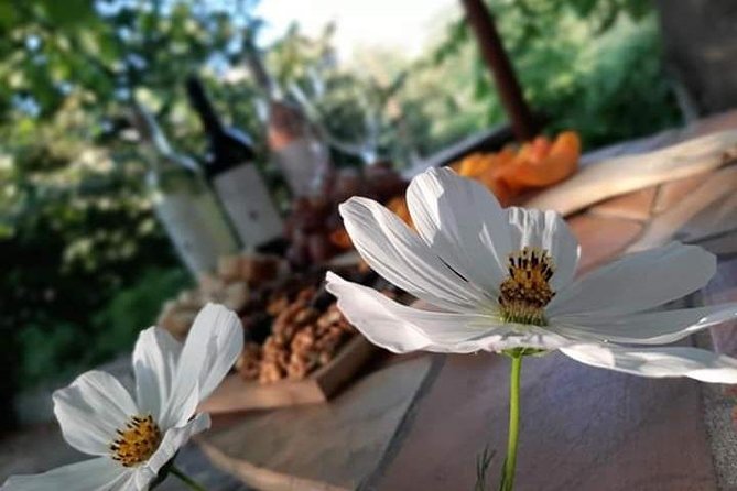 Wine Tasting - Tasting Menu