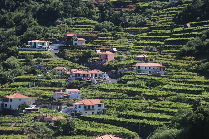 Wine Tasting and Jeep Adventure in Madeiras Majestic Countryside - What To Expect