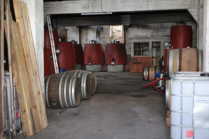 Wine Tasting Experience in Portugal
