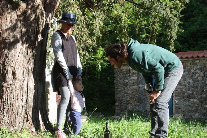 Wine Tasting in the Oldest Dated Cellar From 1683 in Vipava - Event Details