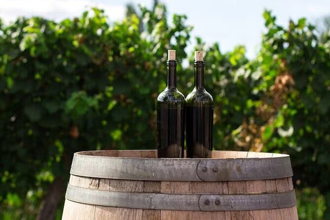 Wine Tasting Private Tour to Peljesac - Transportation Details
