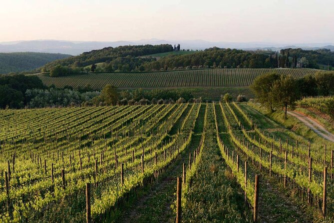Wine Tour in Tuscany in the Wineries Selected by Wine Spectator