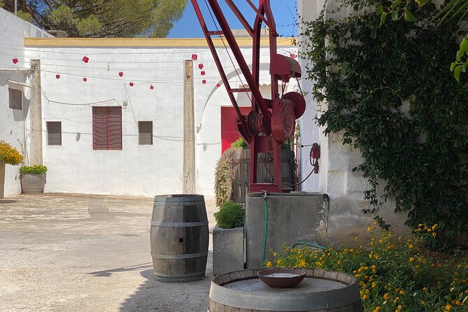 Winery Tour and Tasting in Salento - Winery Visit Details