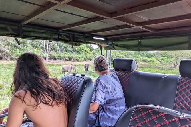 Yala National Park - Full Day Safari (04:30 Am - 06:00 Pm) - Insider Tips for Safari Success