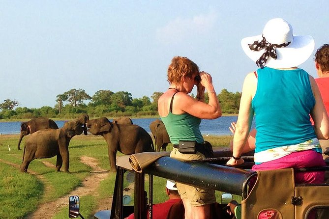 Yala Safari Tour From Hambantota Port (Shore Excursion)