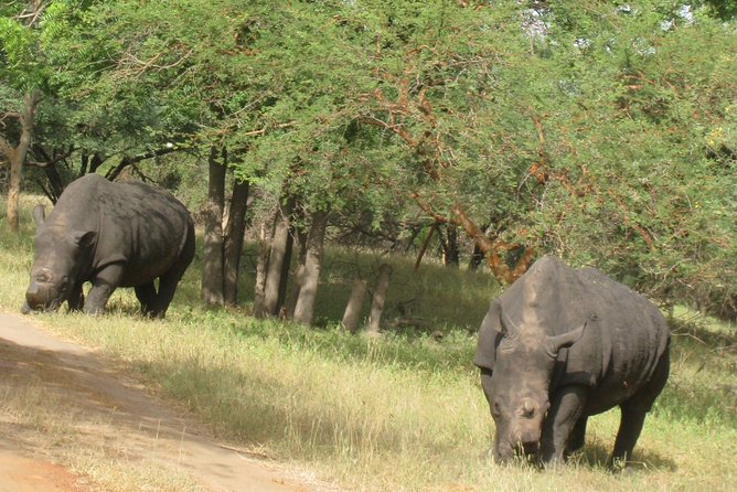 Your Private Driver & Tour Guide in Senegal-Reserve of Bandia