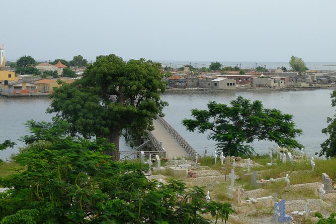 Your Private Driver & Tour Guide in Senegal-The Shell Island
