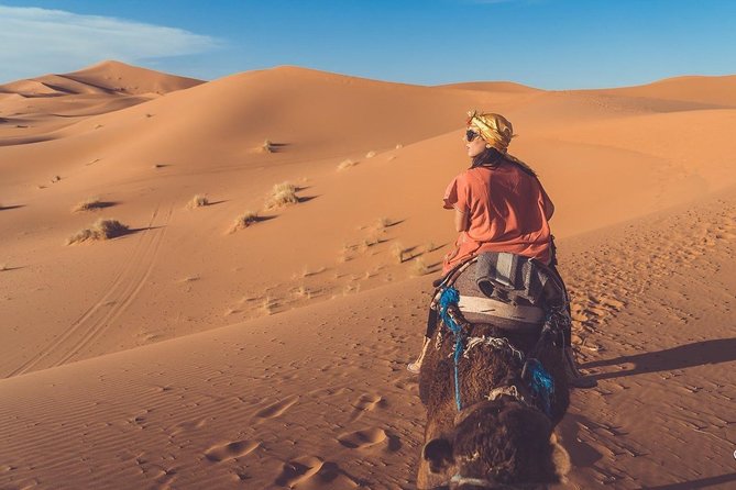 Zagora Desert Tour From Marrakech - Itinerary Details
