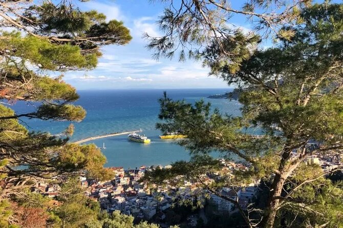 Zante Small Group Bohali Views, Wine and Oil Tasting Tour - Tour Inclusions