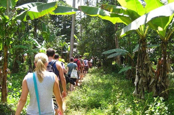 Zanzibar Aromatic Spice Farms Tour