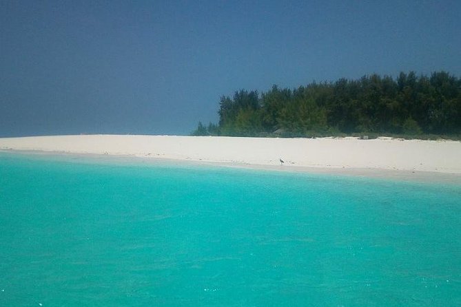 Zanzibar Deep Sea Fishing & Local Fishing.