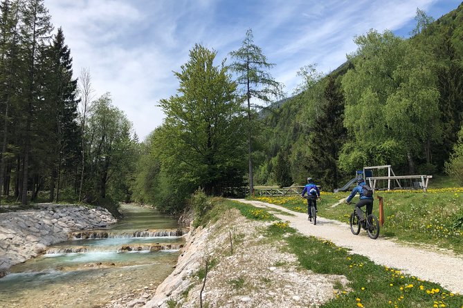 Zelenci Bike Tour - Tour Overview