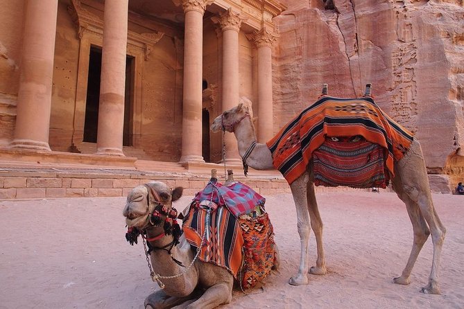 2 Day 1 Night Wadi Rum (Overnight) & Petra Shore Excursion