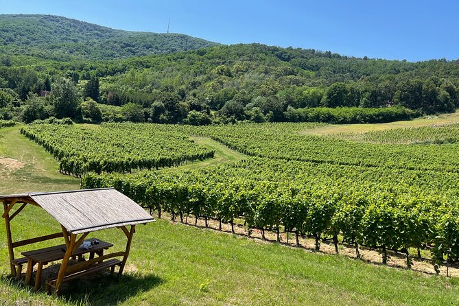 2 Day Boat Trip and City Tour in Tokaj Hungary With Wine Tasting - Good To Know