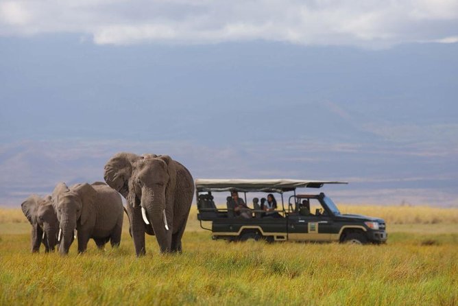2- Day Diani to Amboseli Flying Safari - Good To Know