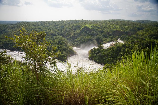 2-Day Murchison Falls National Park Safari With Boat Cruise(Mid-range or Luxury) - Good To Know