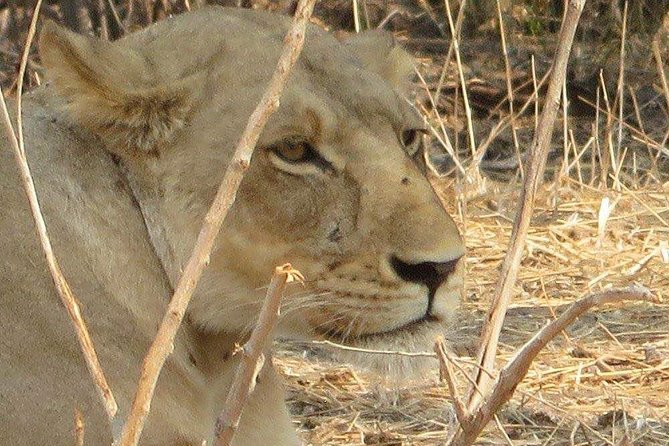 2-Day Safari to Ruaha National Park - Safari Itinerary