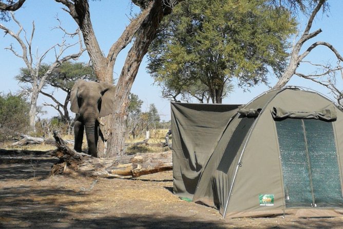 2 Day Wilderness Trail: Okavango Delta and Moremi - Camping Safari - Good To Know