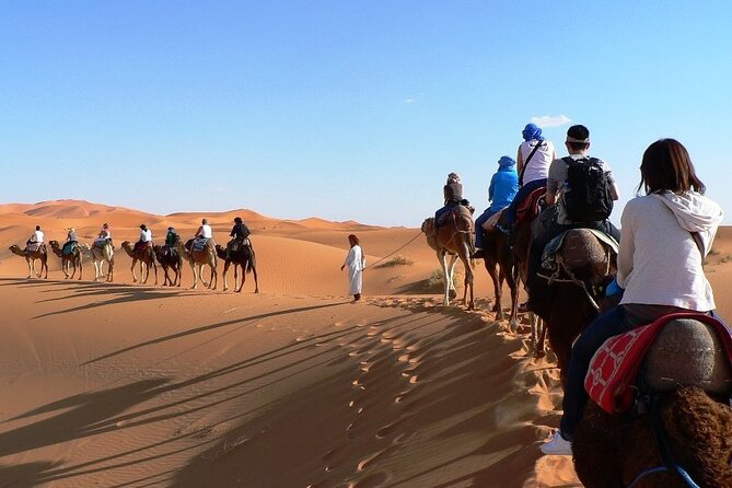 2 Days / 1 Night at the Dunes of Zagora From Marrakech - Good To Know