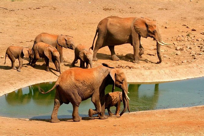 2 Days (1 Night); Tsavo East & Saltlick Safari: - Good To Know