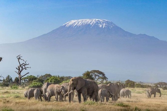 2-Days Amboseli National Park Safari Tour - Good To Know