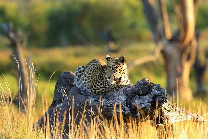 2 Days Amboseli National Park Safari - Good To Know