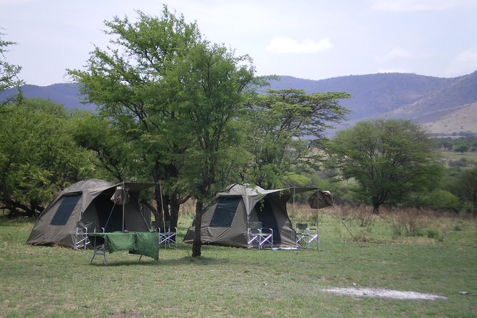 2 Days Budget Safari (Tarangire)