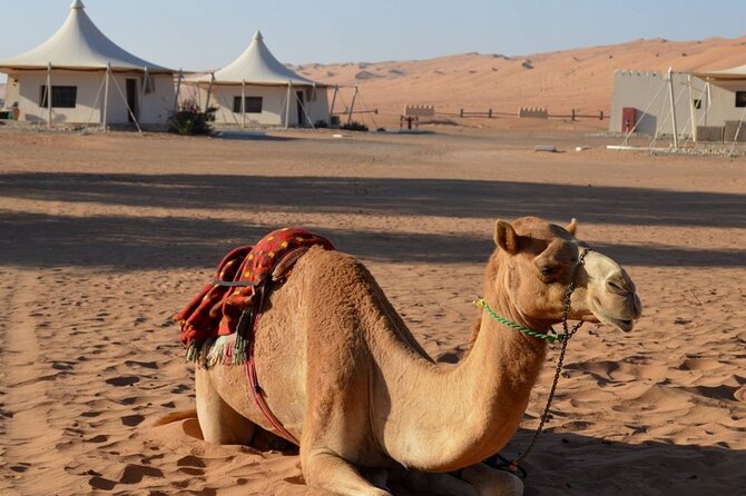 2 Days Desert Adventure Package - Transportation Details