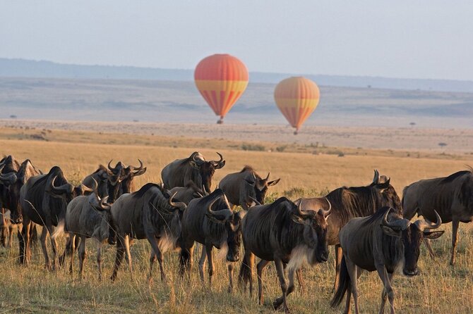 2 Days Enjoy Serengeti National Park With Balloon Safari - Good To Know