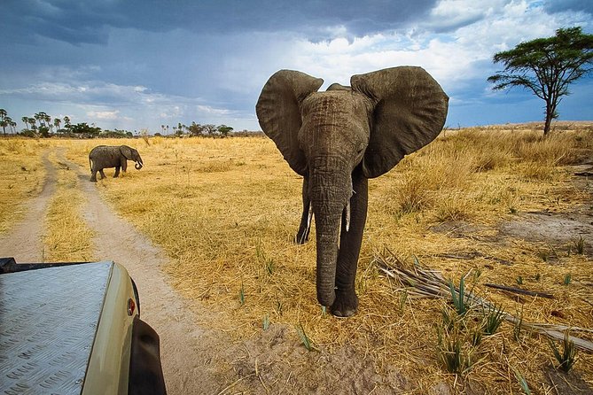 2 Days In Ruaha National Park. - Good To Know