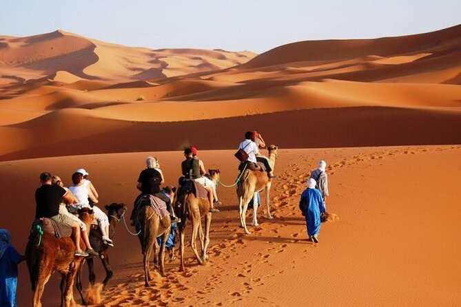 2 Days Private Journey in Fez Desert With Camel Trek - Good To Know